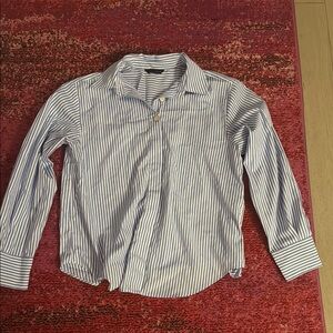 Zara Blue Striped Shirt